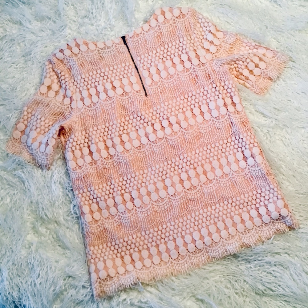 SABINE PINK LACE HALF SLEEVE TOP - Picture 2 of 5